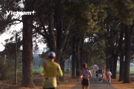 Participan casi cinco mil atletas en campeonato nacional de maratón en Vietnam