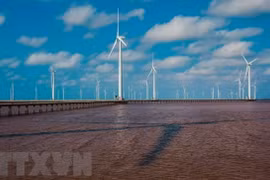 Banco Mundial propone hoja de ruta para energía eólica marina de Vietnam