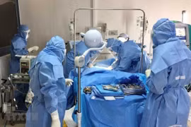 Lucha contra el COVID-19 en Vietnam: éxitos iniciales y amenazas de la segunda ola 