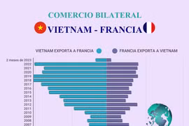 Comercio bilateral Vietnam-Francia