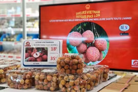 Comercio en línea allana camino para llevar productos vietnamitas al mundo