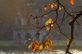 Hanoi entre destinos más ideales del mundo en otoño, según CNN