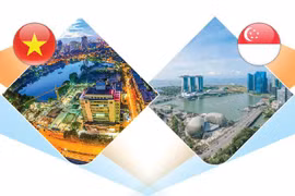 Nexos de asociación estratégica Vietnam-Singapur