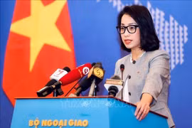 Vietnam rechaza colocación de boyas luminosas por parte de China en Truong Sa