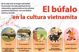 El búfalo en la cultura vietnamita