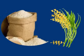 Exportaciones de arroz de Vietnam crecen 40,4%