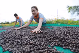 Recuperación económica de Vietnam prosigue segura pese a inestabilidad global