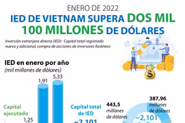 IED de Vietnam supera dos mil 100 millones de dólares