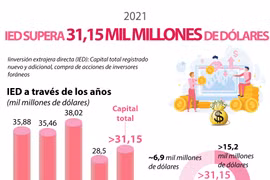 IED de Vietnam supera 31 mil millones de dólares en 2021