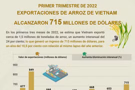 Exportaciones de arroz de Vietnam alcanzaron 715 millones de dólares en primer trimestre
