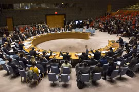 Realzan aportes de Vietnam al Consejo de Seguridad de la ONU