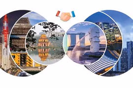 Nexos de asociación estratégica Vietnam-Singapur