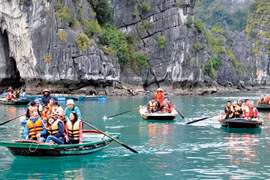 Vietnam disfruta de fuerte aumento en número de turistas indios