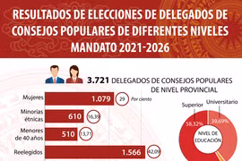 Estructura de delegados de consejos populares de diferentes niveles