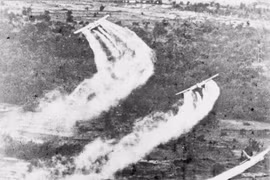 60 años de desastre del Agente Naranja en Vietnam: Unir esfuerzos para aliviar el dolor