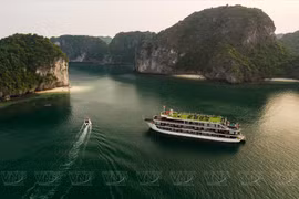 Exploran bahía vietnamita de Lan Ha