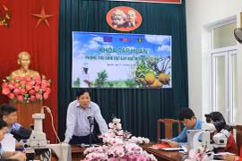 Exportación de productos agrícolas de Vietnam recibe apoyo de UE