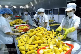Destacan oportunidades para Vietnam en RCEP