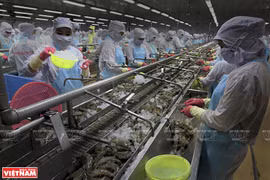 Vietnam busca convertir al sector acuícola en un pilar económico