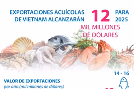 Vietnam por alcanzar 12 mil millones de dólares por exportaciones acuícolas