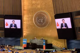 Vietnam comparte en ONU experiencias en lucha contra VIH/SIDA