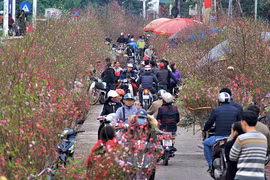 Mercados del Tet reflejan el alma de zonas rurales vietnamitas