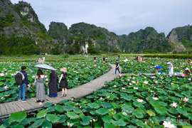 Foto de ilustración. (Foto: vietnamnet.vn)