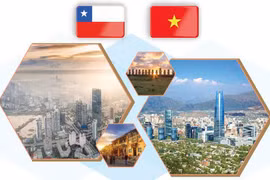 Relaciones de asociación integral Vietnam-Chile