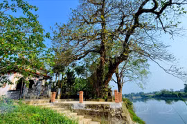 Phuoc Tich: la antigua aldea más bella de Hue