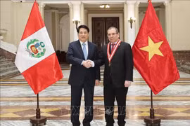 El presidente de Vietnam, Luong Cuong, y el titular del Poder Judicial de Perú, Javier Arévalo Vela. (Foto: VNA)