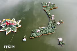 Mapa de Vietnam elaborado a partir de cinco mil macetas de lotos en Dong Thap