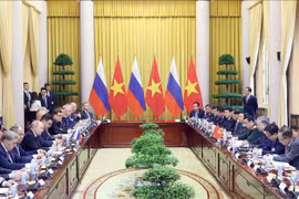 El presidente de Vietnam, To Lam, sostiene un encuentro con su homólogo ruso, Vladimir Putin. (Foto: VNA)
