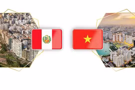 Relaciones de amistad y cooperación Vietnam - Perú