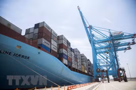 Vietnam prevé aumento de importación de autos debido al impuesto cero