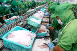 Nuevas oportunidades para exportación de pescado Tra de Vietnam a China 