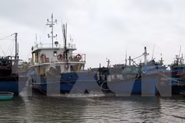 Rescatan a cinco pescadores vietnamitas accidentados en el mar