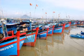 Global Policy destaca esfuerzos vietnamitas para controlar la pesca ilegal 