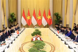 Vietnam e Indonesia acuerdan elevar comercio bilateral a 10 mil millones de dólares 