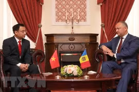 Moldavia busca impulsar la cooperación multisectorial con Vietnam