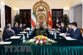 Vietnam y Kuwait realizan tercera consulta política