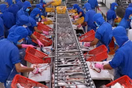 VASEP urge a productores a controlar calidad de pescado Tra exportados a China