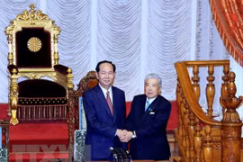 Presidente de Vietnam dialoga con titular de Cámara alta de Japón