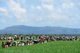 Bangladesh pospone regreso de refugiados rohingya a Myanmar