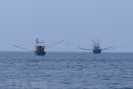 Despliega Vietnam múltiples medidas contra la pesca ilegal