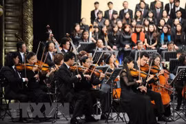 Jóvenes vietnamitas y extranjeros competirán en IV Concurso de Piano de Hanoi 