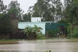 Vietnam lanza programa a favor de familias afectadas por inundaciones
