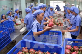 Aumentan exportaciones hortofrutícolas de Vietnam en primer semestre del año