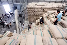 Tailandia planea exportar 9,5 millones de toneladas de arroz en 2018