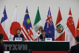 Ministro vietnamita se reúne con pares de Japón, México y Chile al margen de firma del CPTPP