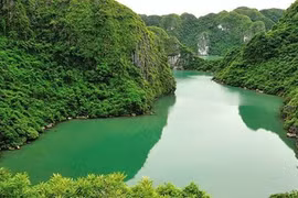 Vietnam promueve conservación de valores de sus reservas mundiales de biosfera 